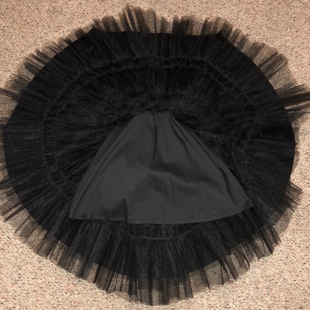 Beautiful Black Swan Dress - Picture 2 of 7
